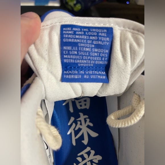 NIKE SB DUNK PRO X FLY STREET WEAR - “GARDENIA” - Picture 11 of 16